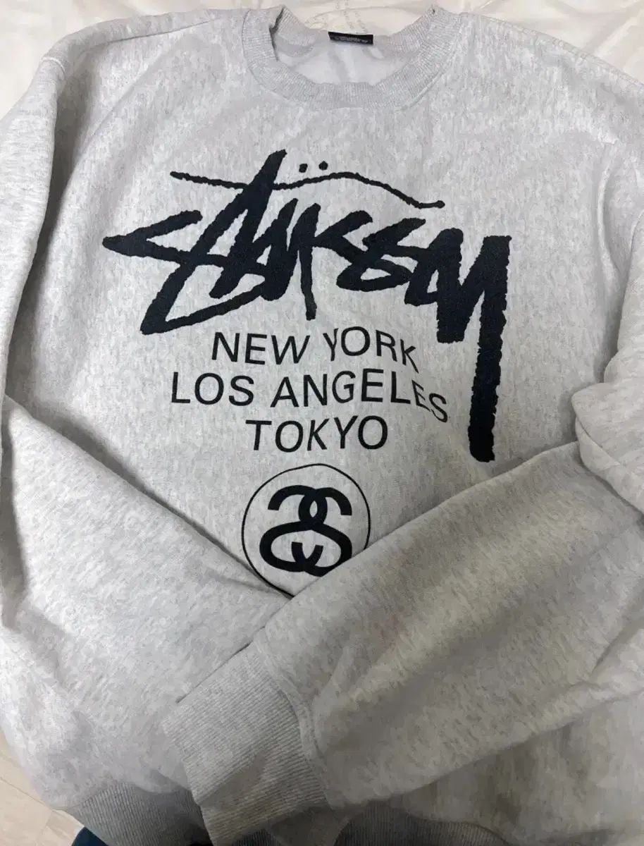 【雷市場（ポンジャン）商品韓国直送】 STUSSY(ステューシー) アッシュヘザー ワールドツアー パーカー L