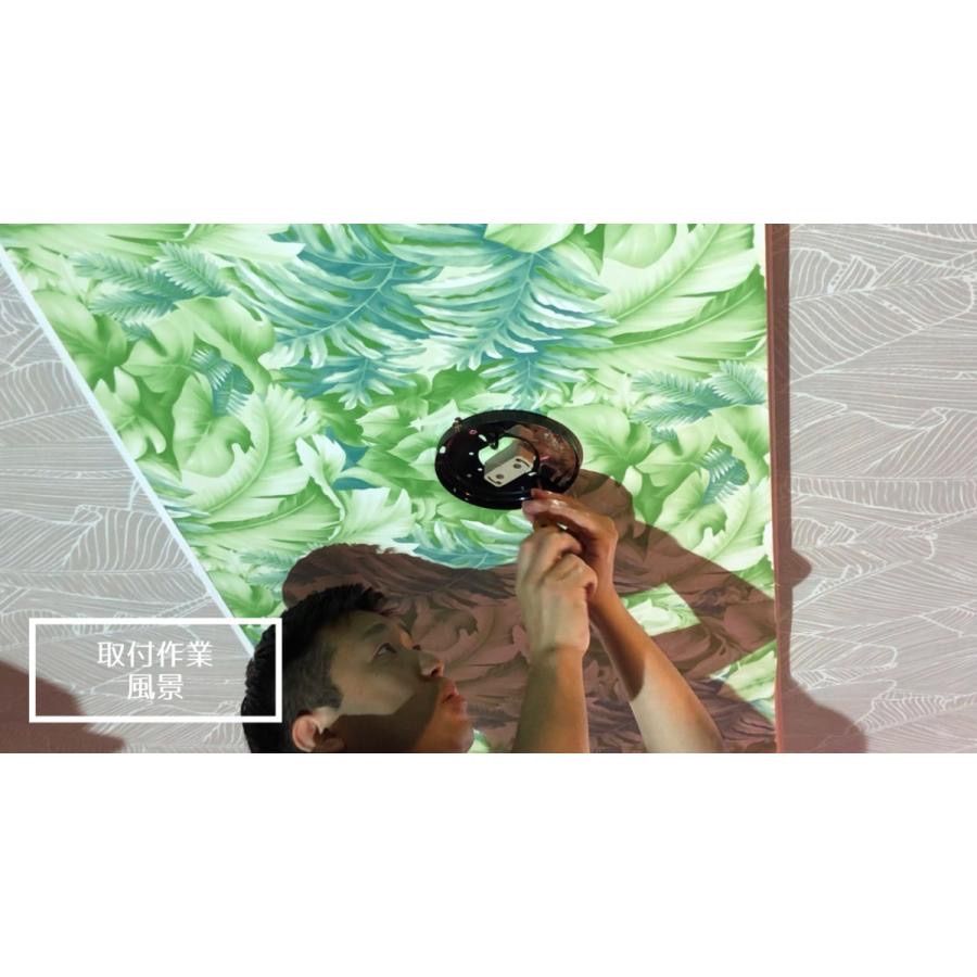 バナナリーフ ハワイアン