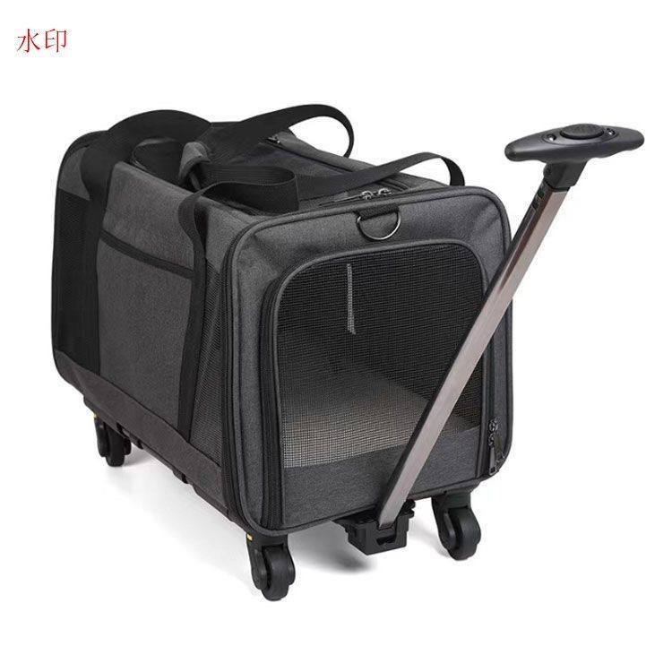 メッシュ 窓