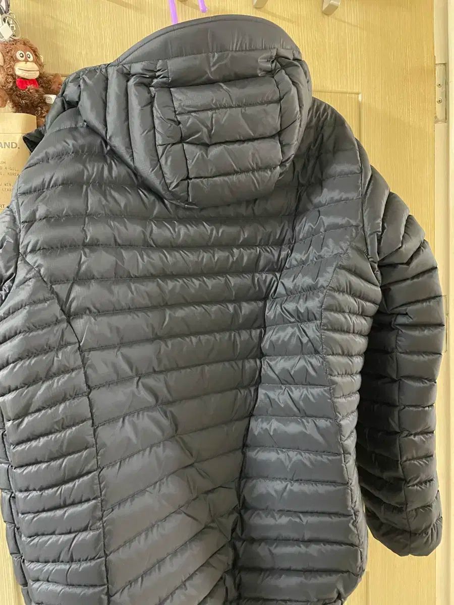 L ラブ アルパイン プロ ジャケット ベルーガ