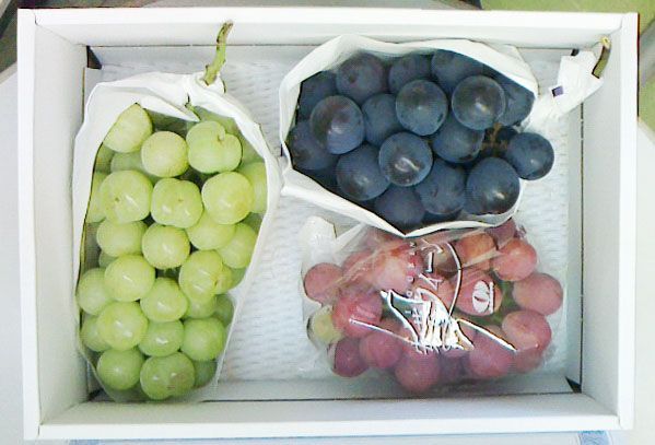 安心の冷蔵便】岡山産 ぶどう食べ比べ（3～4種類） ご家庭用 約