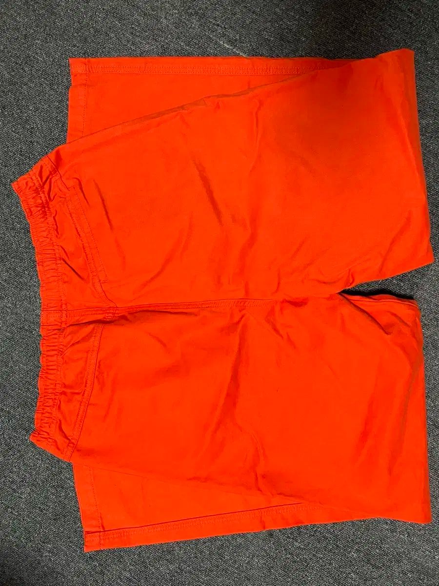 STUSSY ステューシー ブラッシュド ビーチ パンツ オレンジ L