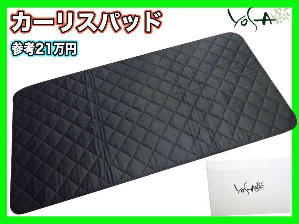 Yosa ヨサ バイオクイーン カーリスパッド Calisth 元箱 バイオ 