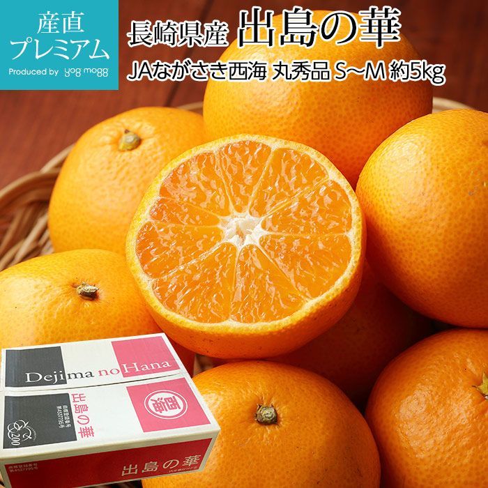 ◉最高級みかん◉🍊平均糖度14度以上「出島の華」ぜひ、商品説明 ◉最高級みかん◉🍊平均糖度14度以上「出島の華」ぜひ、商品説明