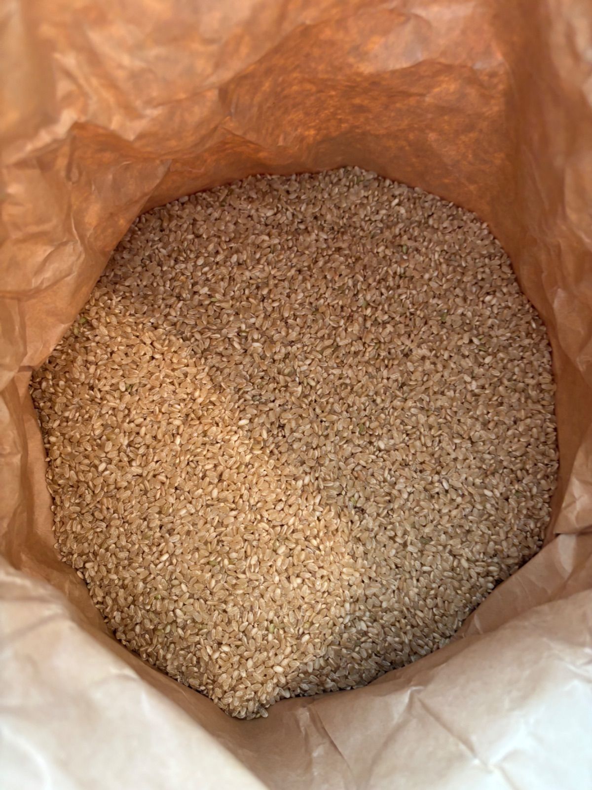 令和3年度　宮城県産　ひとめぼれ　玄米 20kg 減農薬 令和6年宮城県登米市産 減農薬栽培ひとめぼれ玄米20kg - メルカリ