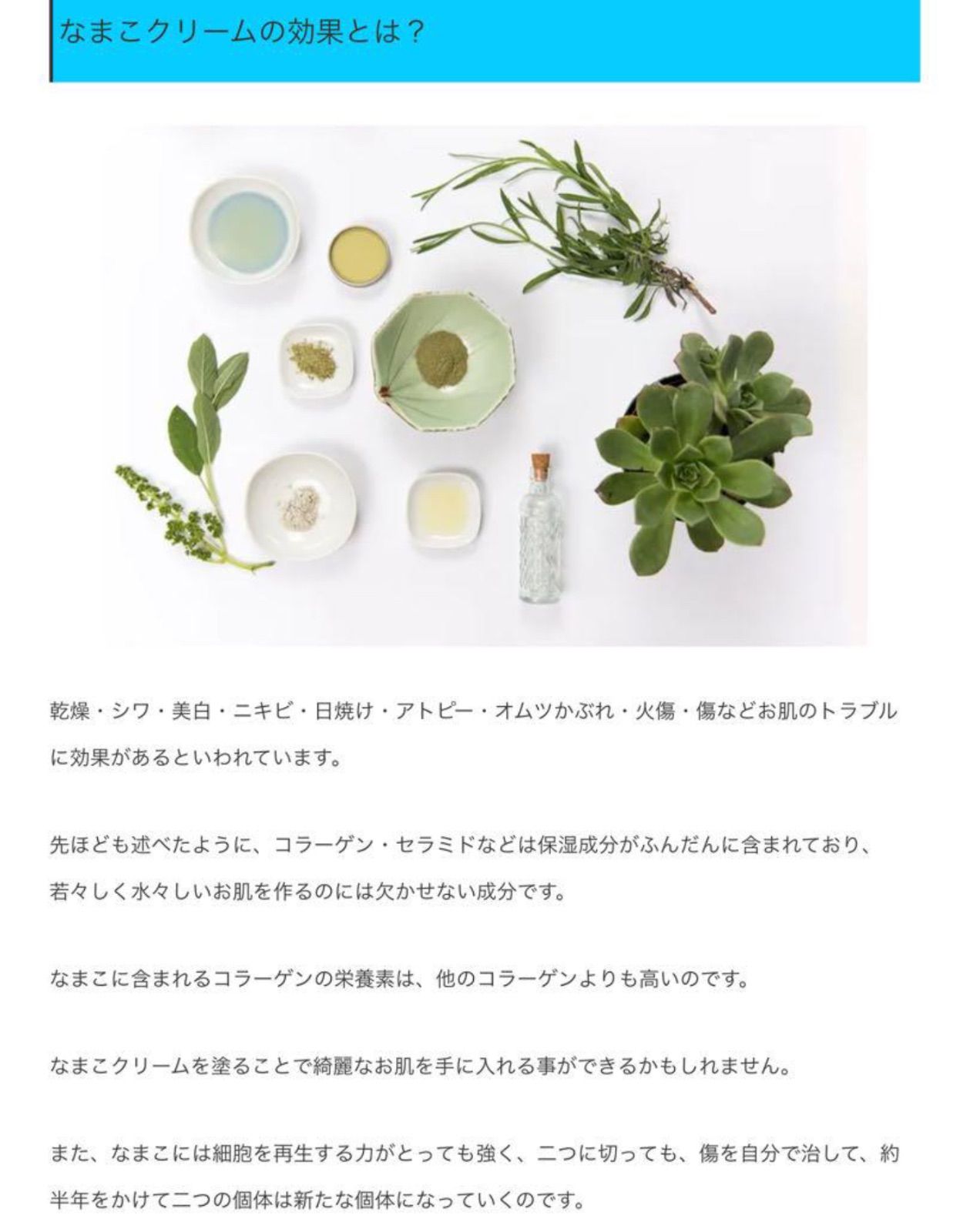 マレーシア産　なまこクリーム    １０個 【ピサンランカウイ】　【17】 マレーシア産 なまこ石鹸 10個 【ピサンランカウイ】ランカウイ