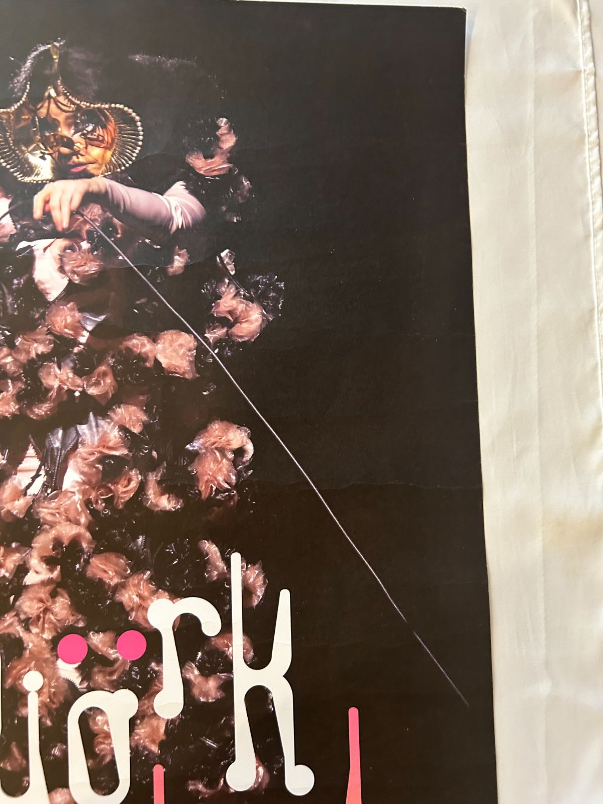 Bjork ビョーク / orchestral Tour 2024 オリジナル・ギグポスター