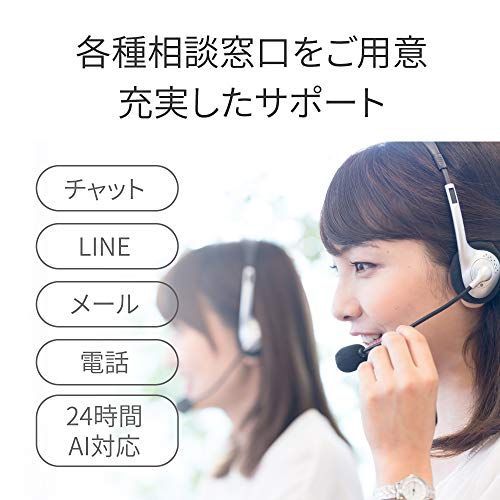 バッファロー メッシュ WiFi 無線LAN AirStation connect 親機 トライ