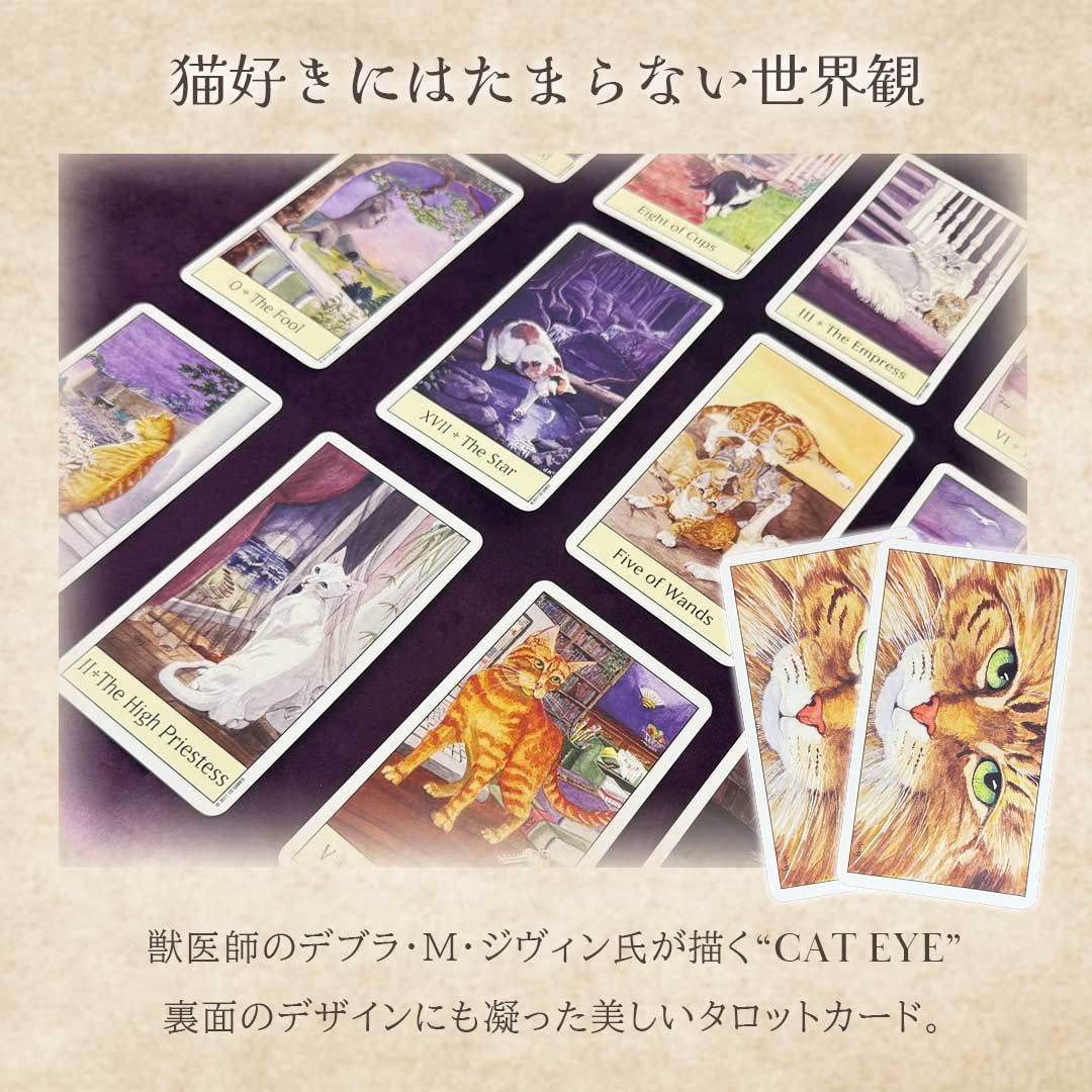 正規品］ 豪華特典付き ポーチ付き キャッツアイタロット