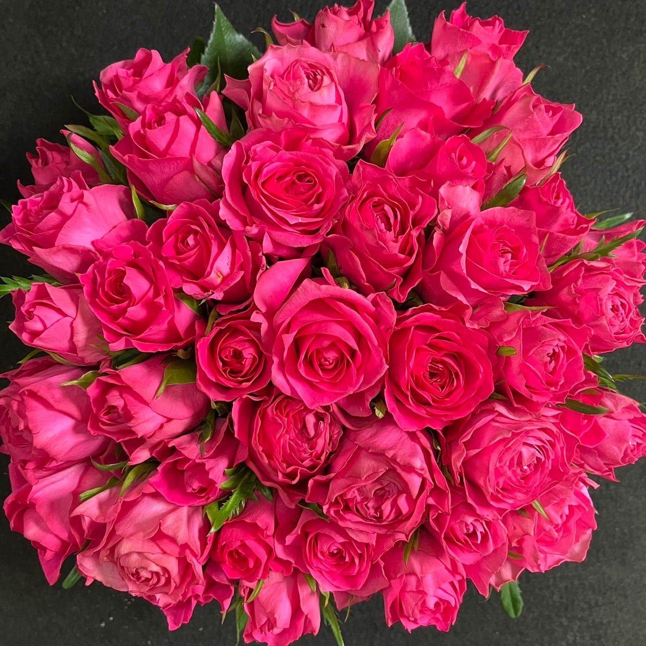 バラ（切り花 ・生花）フェリシタル（鮮やかなピンク色・濃いピンク