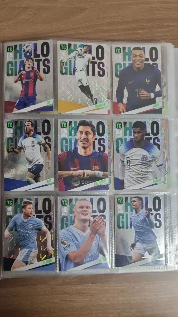 Panini パニーニ サッカーカード (トップクラス)