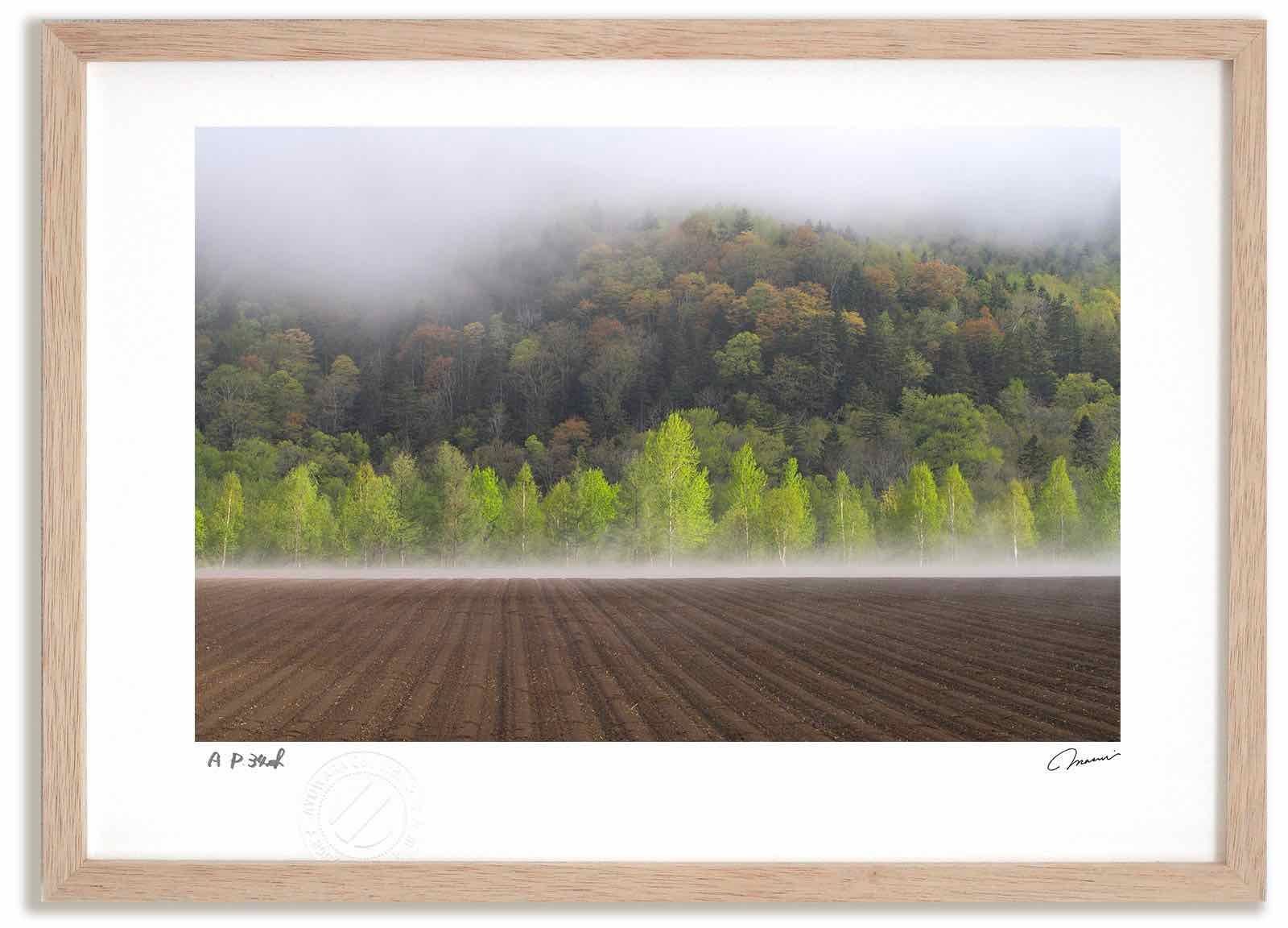 アートフォト 絵画 新緑と霧 高橋真澄/インテリア 額入り 額装込 風景画 油絵 ポスター アート アートパネル リビング 玄関 プレゼント モダン アートフレーム 飾る Mサイズ おしゃれ 壁掛け 