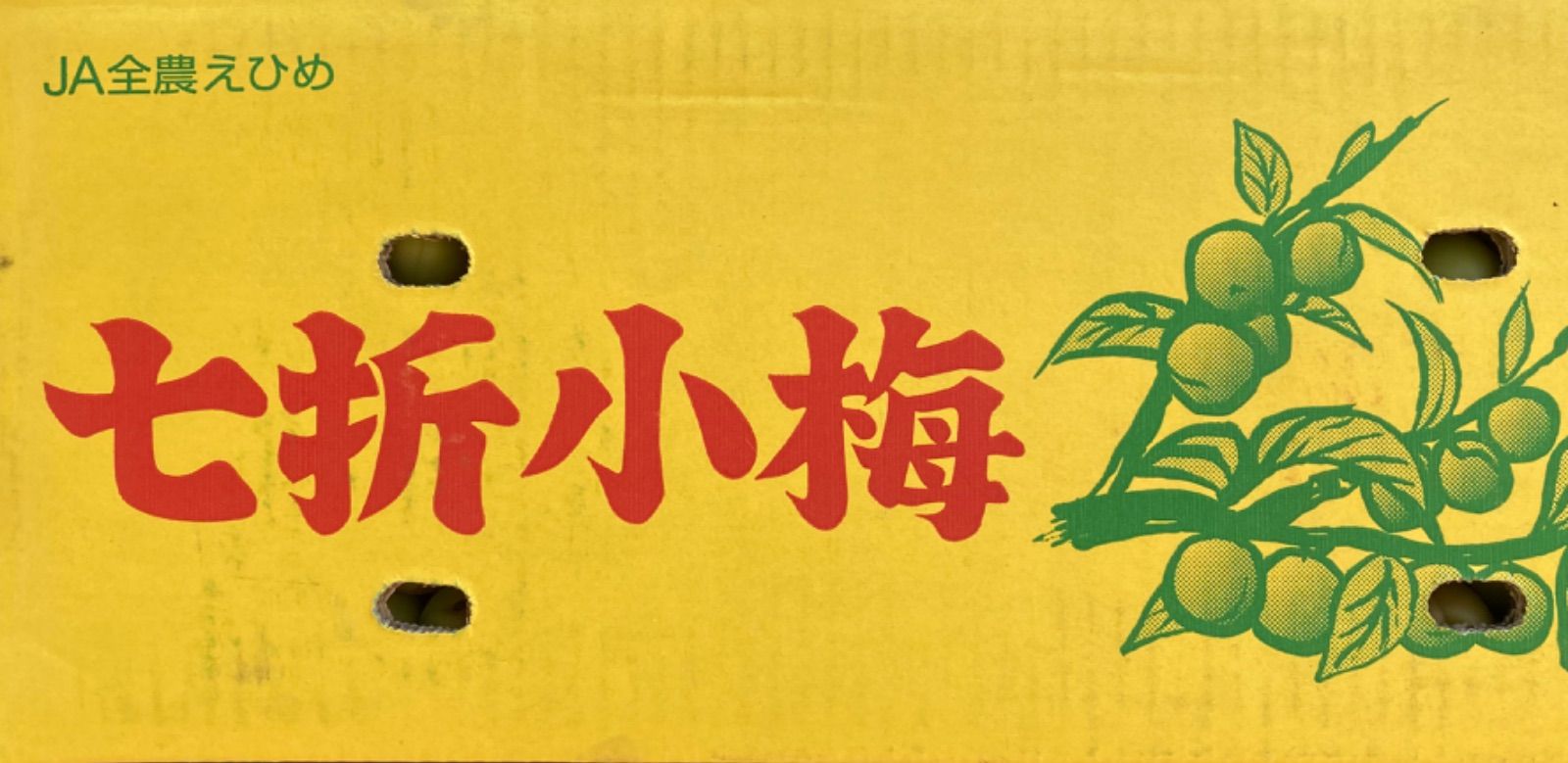 愛媛県伊予郡砥部町特産　七折小梅　秀品　5kg (箱込）L～3L(サイズ選択不可)