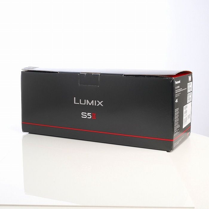 パナソニック Panasonic S5IIダブルレンズキット DC-S5M2W