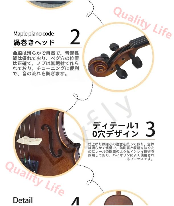 Carlo giordano VS-2バイオリン 4/4 バイオリン 4/4 Carlo giordano