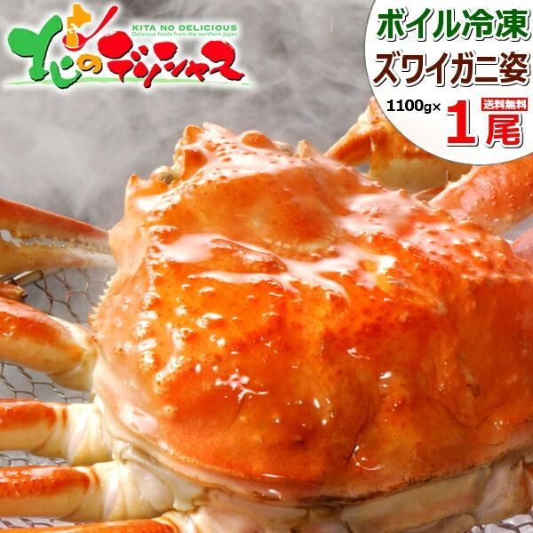 カニ ズワイガニ 1尾 姿 1100g×1尾 ボイル済み 冷凍 かに 蟹 ずわい蟹 ズワイ蟹 カニみそ ボイル ギフト 贈り物 お祝い 内祝い プレゼント ご家庭用 お歳暮 年越し 年末年始 お正月 北海道 グルメ お取り寄せ
