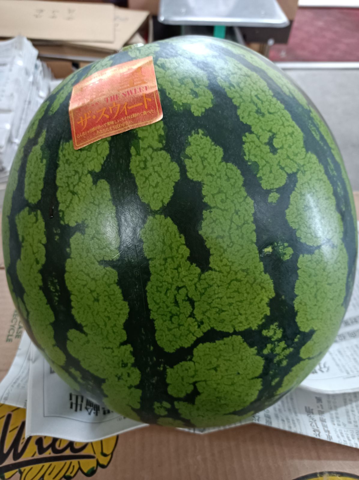 羅皇ザ·スウィート 1玉入り 10kgオーバー 熊本産 超大玉 ラオウ
