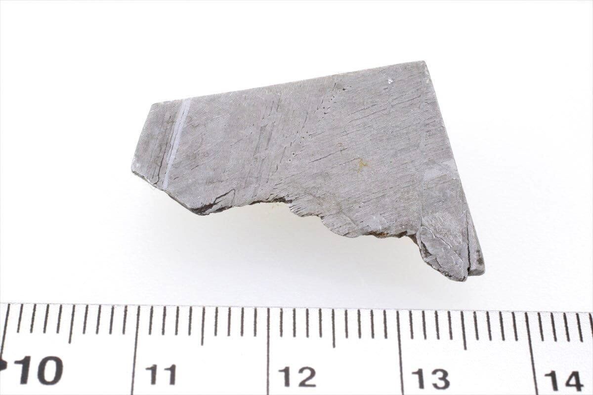 ムオニナルスタ ムオニオナルスタ 13g スライス カット 標本 隕石 