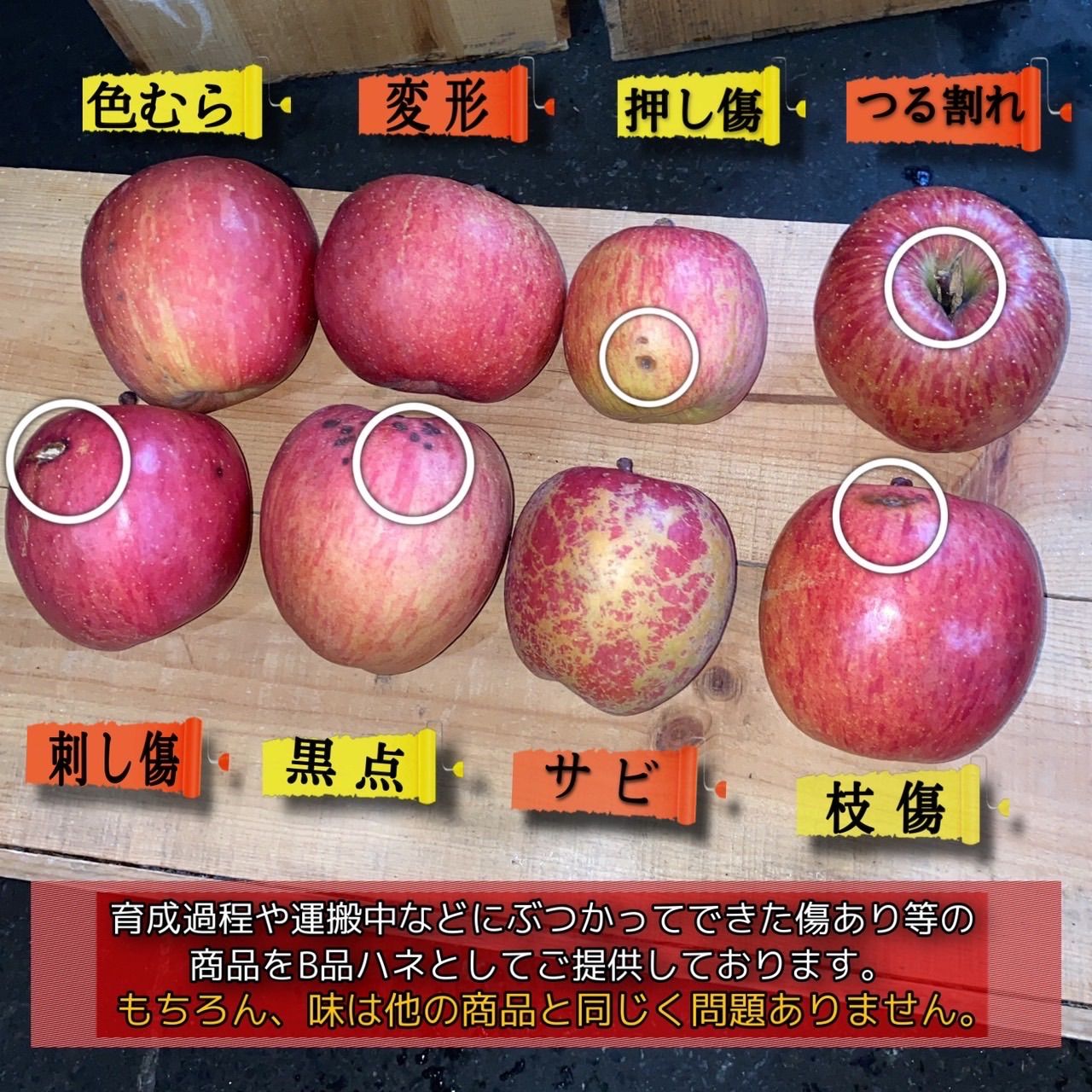 青森県産 ぐんま名月 りんご【B品5kg】【送料無料】【農家直送】リンゴ-4