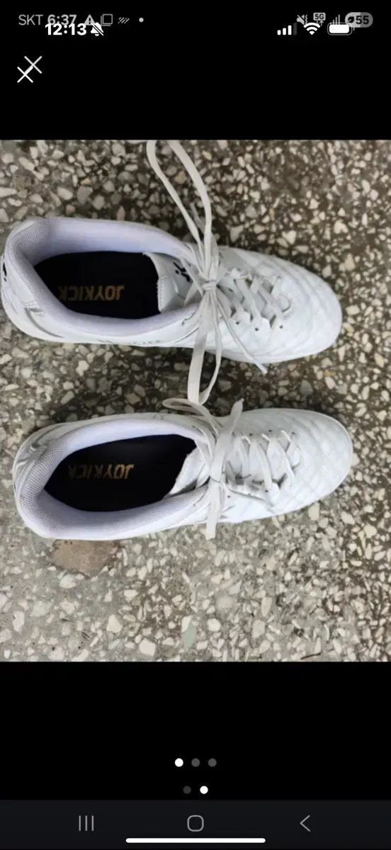 XJBEETテールイノウエコミネキジマレア物希少初期 ゼファーBEETテール