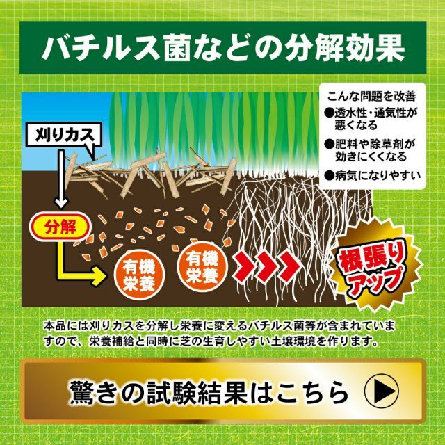 芝の肥料