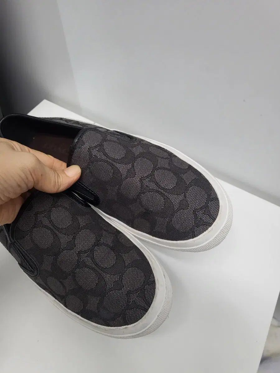 コーチシグネチャーシューズ 送料無料 KIN-KAAI_COM