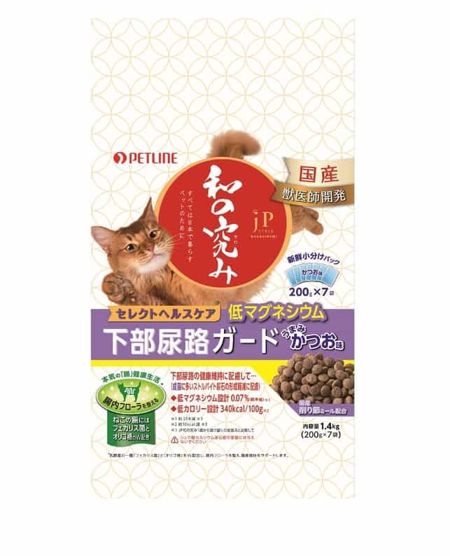 中国 清朝期 粉彩四君子鑑賞大皿② アンティーク 時代箱付0621 美術品
