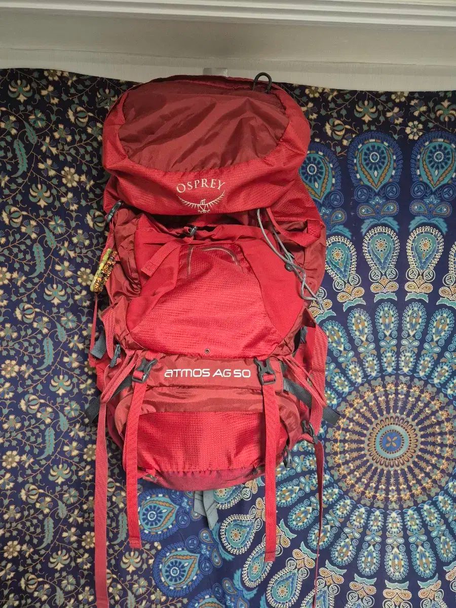 オスプレイ OSPREY アトモス ag50