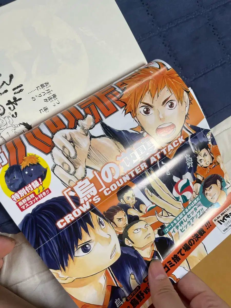 ハイキュースポルティーバ】ハイキュー!! スポルティーバ sportiva