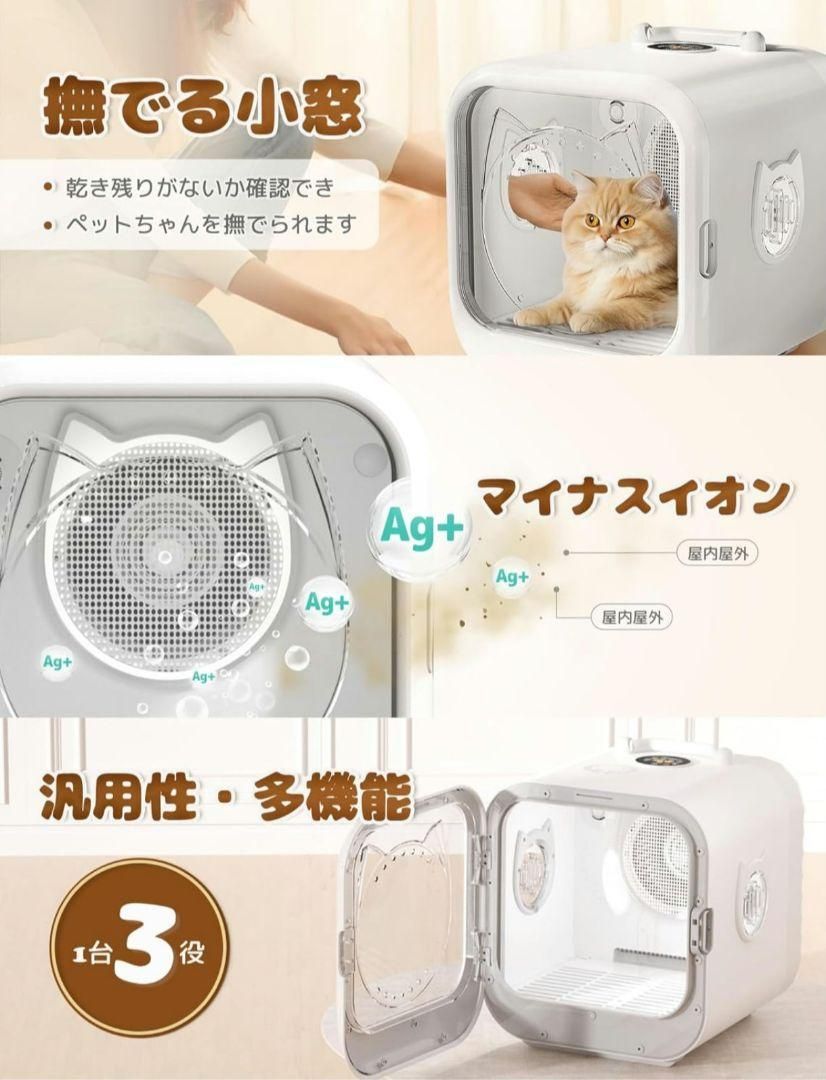 ボックス