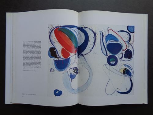 サム・フランシス作品集(Sam Francis Metaphysics of the Void