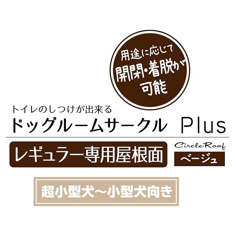 レギュラー 屋根面