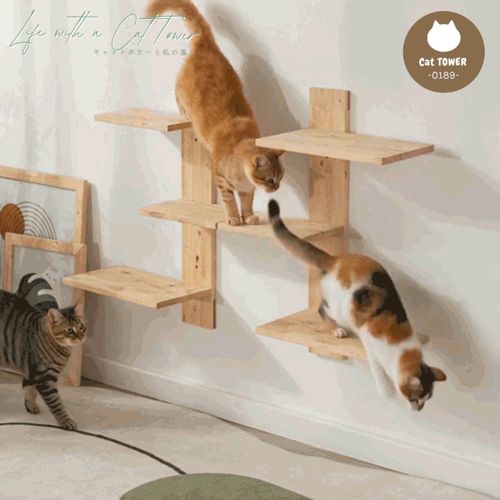 ペット用品 4002