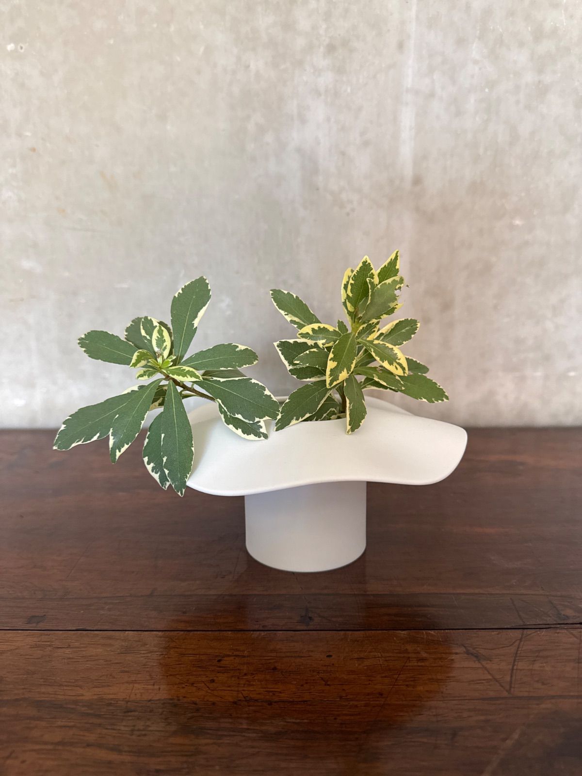 ローゼンタール ミニベース 花瓶 4個セット ローゼンタール ミニベース 花瓶 4個セット 【公式通販】