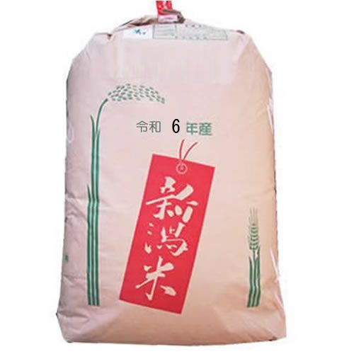 玄米 30kg 令和6年産 新米 こしいぶき 2等 新潟県産北陸 越後の米