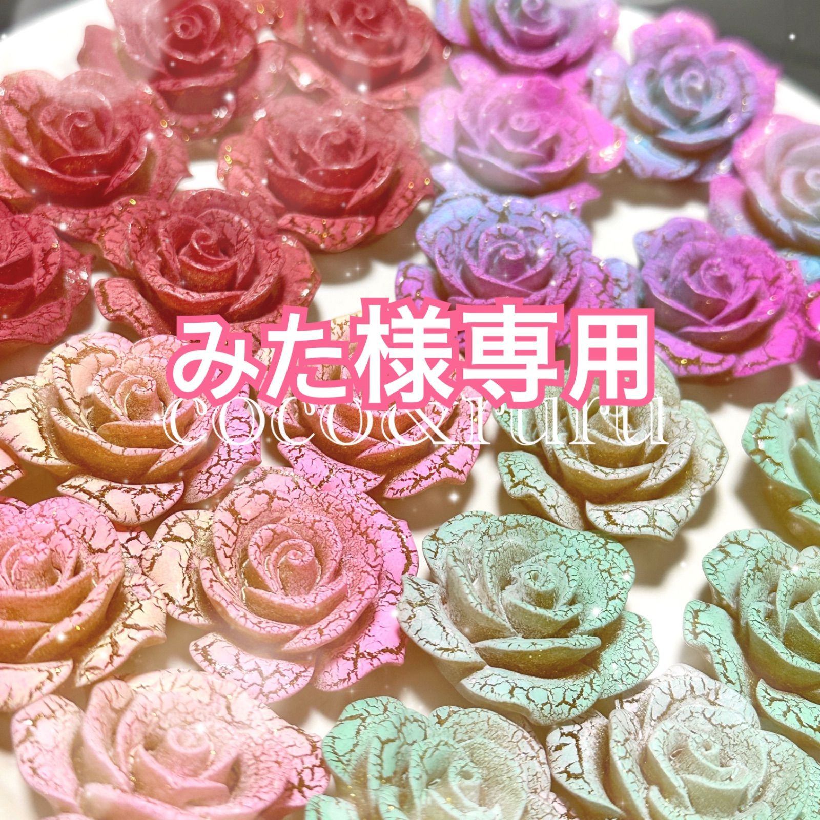 初心者様専用 ニコニコたい君様専用】Pinosutudio 初心者入門セット L