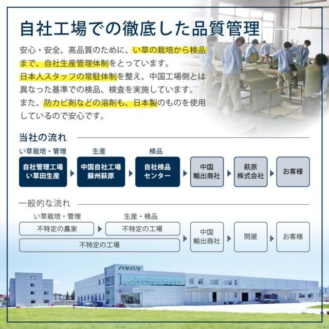 い草100％