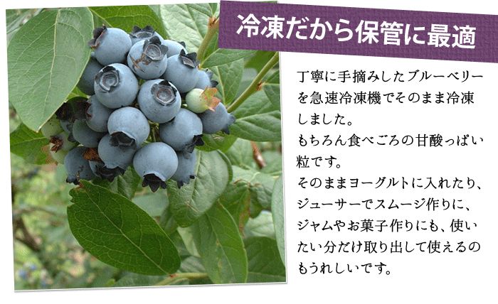 生ブルーベリー　5kg 食品 冷凍ブルーベリー5kg(1kg×5袋)