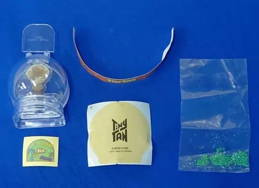 TinyTAN ウォータードームコレクション　ジン ぴた！でふぉめ TinyTAN ウォータドームコレクション Dynamite