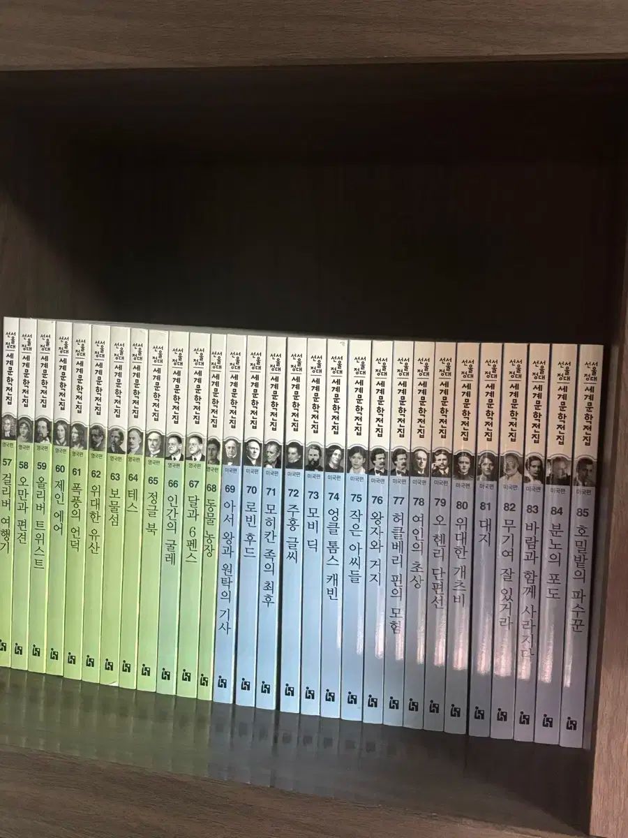 選択 文学教育