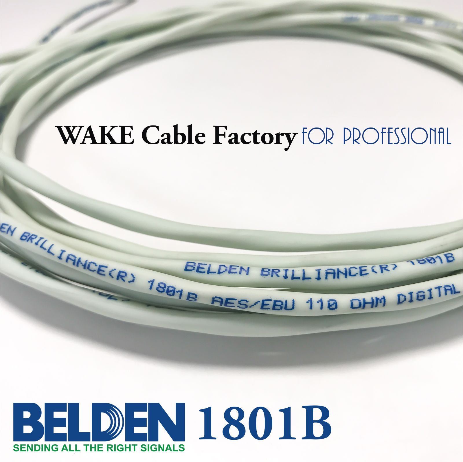 プレミアム仕様！BELDEN1801B☆高性能デジタルケーブル2.5m☆AES/EBU