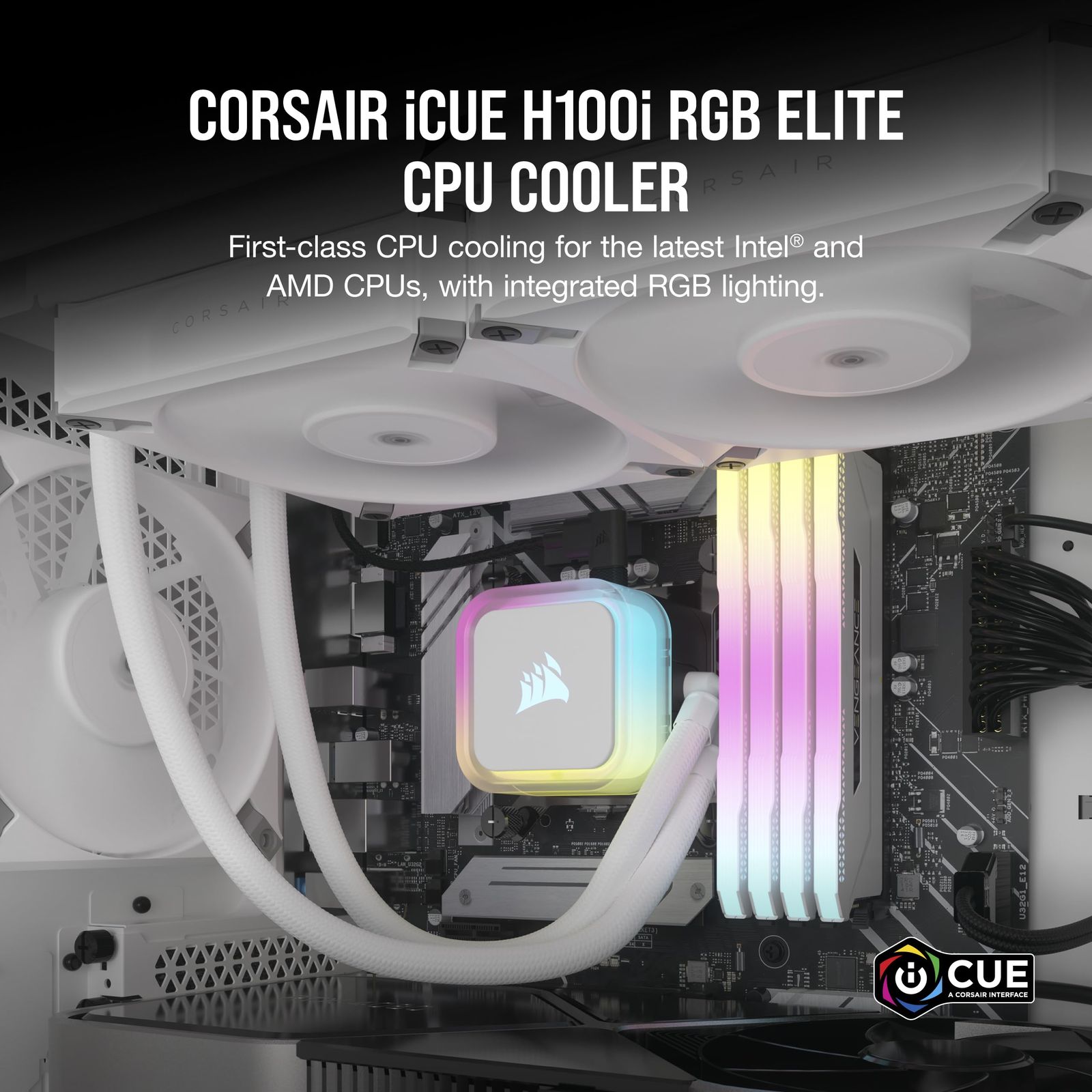ELITE White