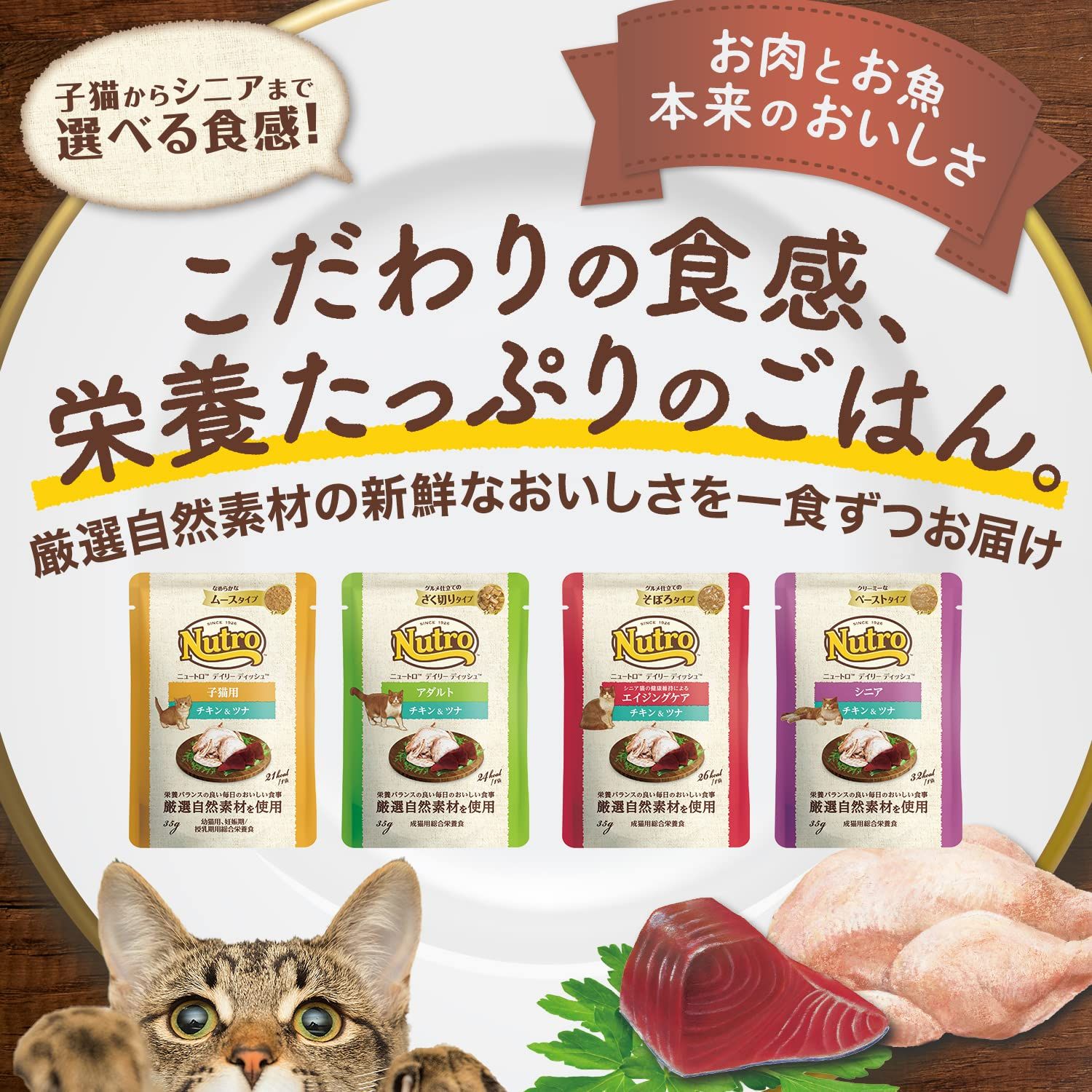 Nutro デイリーディッシュ シニア 猫 ペースト エイジングケア付き ニュートロ キャット デイリー ディッシュ シニア猫用 チキン