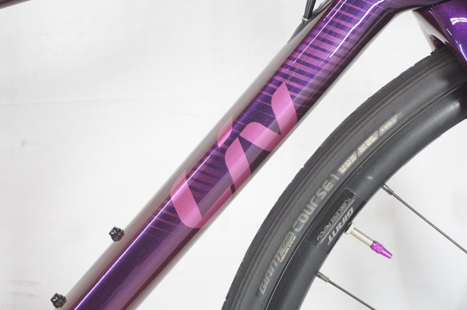 QOM 2025年モデル