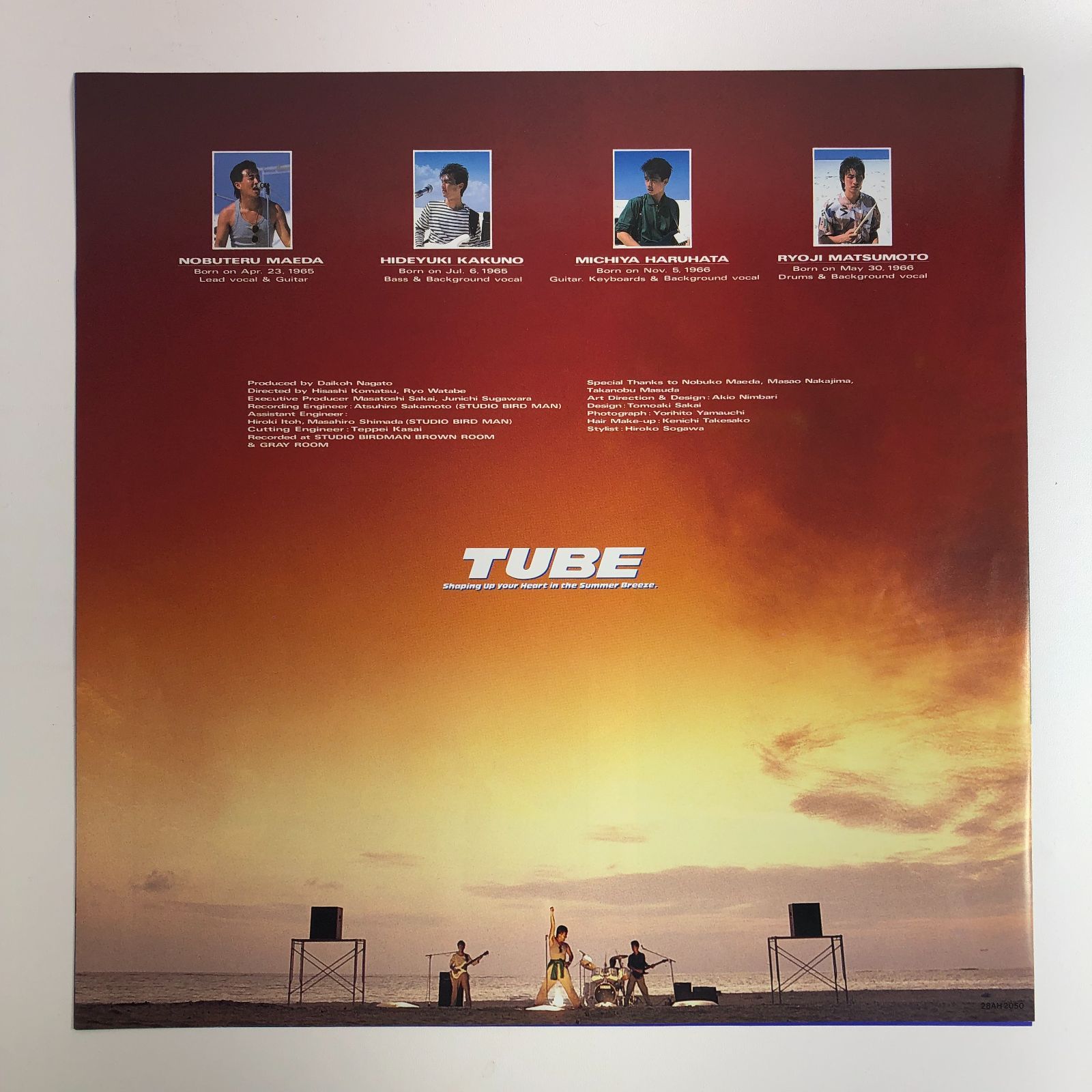 完売 TUBE SEASON IN THE SUN レコード staronegypt.com.eg