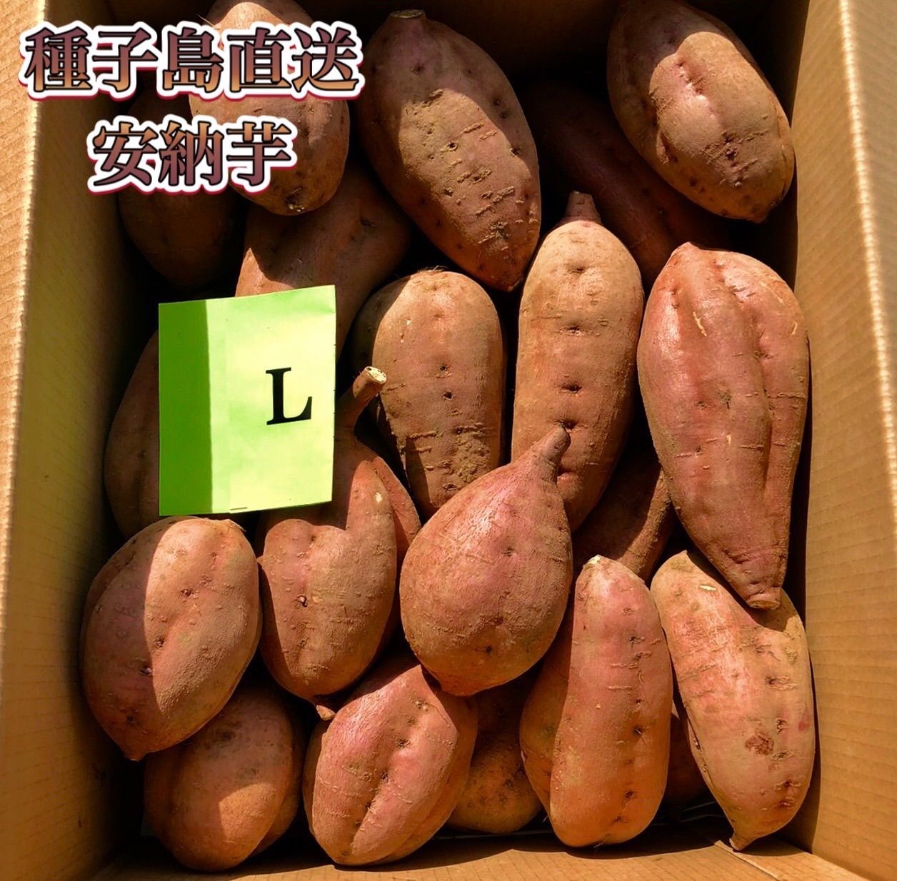 絶品】種子島産 安納芋L 24kg(箱別) - メルカリ