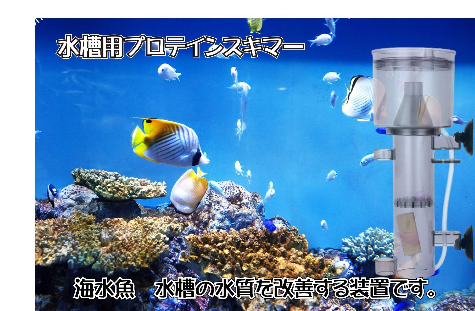 送料込み)海水魚 生体 チャーム 海水 海水魚飼育用 プロテインスキマー 水質改善 タンパク質 有機粒子 泡で除去 水質改善装置(23㎝ 小型) -  メルカリ