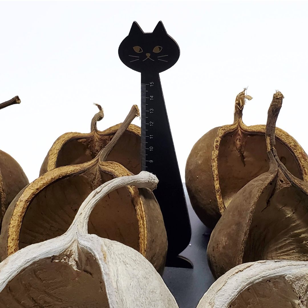 大地農園 ハンドメイド花材