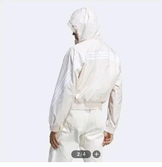 キッズ ジュニア