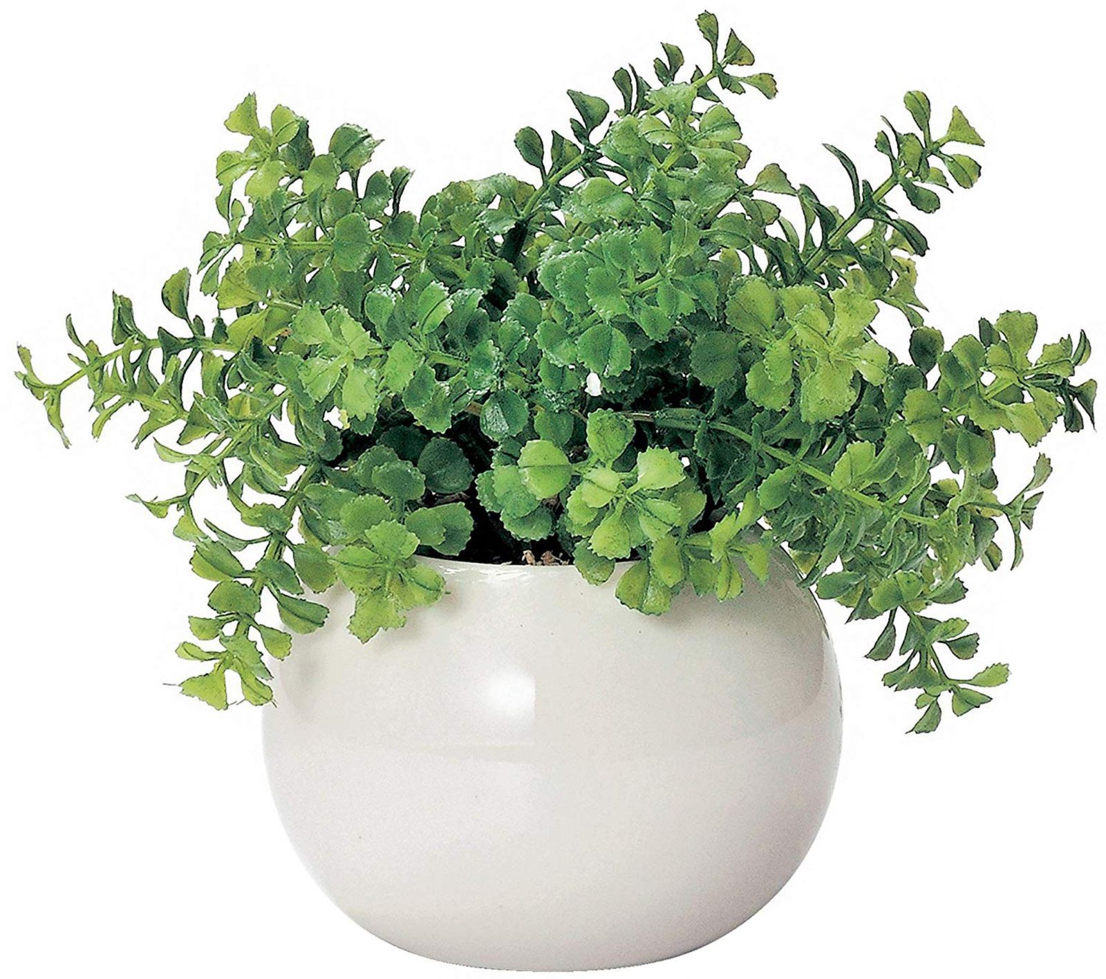 ミニ インテリアグリーン 造花 観葉植物 かわいい まあるい 光触媒 グリーン ファンシェイプ